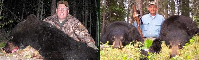 Alaska Private Guide Service Black Bear Hunting