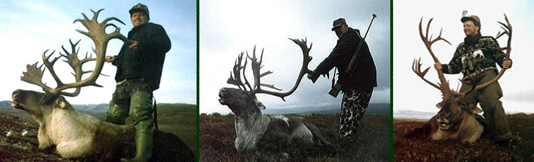 Alaska Private Guide Service Caribou Hunting
